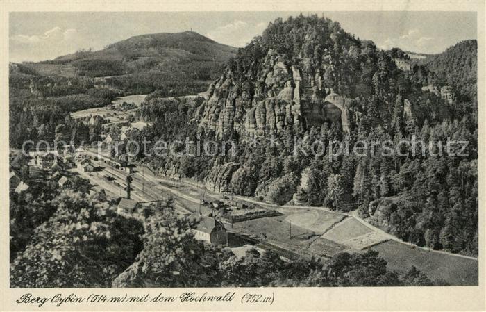 Oybin Berg Oybin mit dem Hochwald