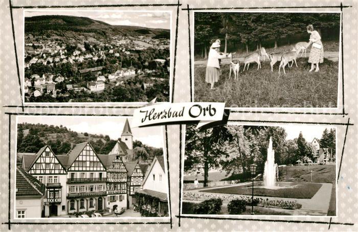 Bad Orb Stadtblick Wildgehege Fachwerkhaeuser Springbrunnen