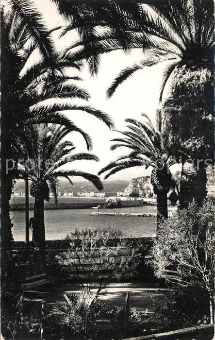 Nice Alpes Maritimes Vue sur le port a travers les palmiers