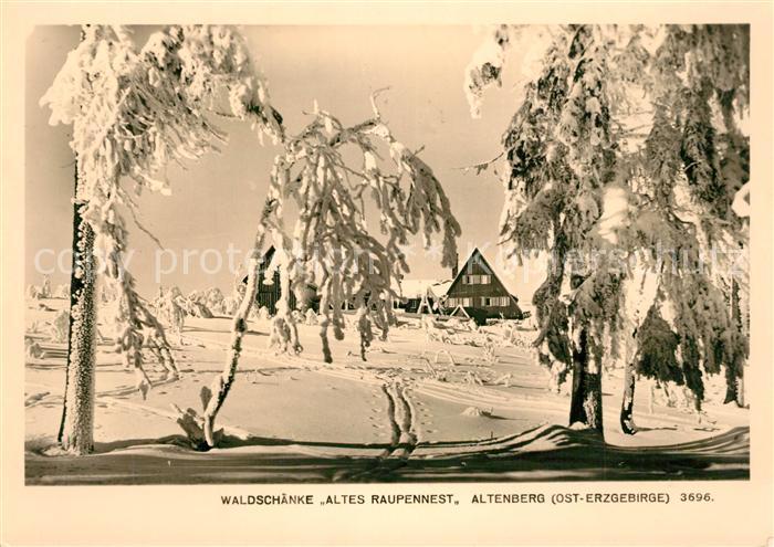 Altenberg Erzgebirge Waldschaenke Altes Raupennest