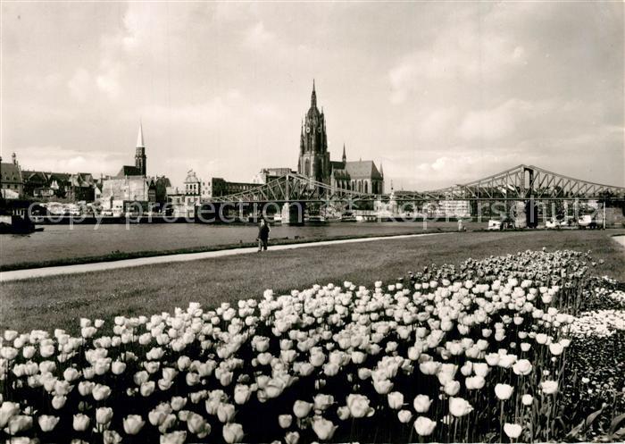 Frankfurt Main Mainansicht mit Dom