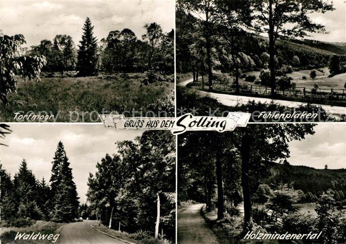 Holzminden Weser Holzmindenertal Fohlenplaken Waldweg Tortmoor