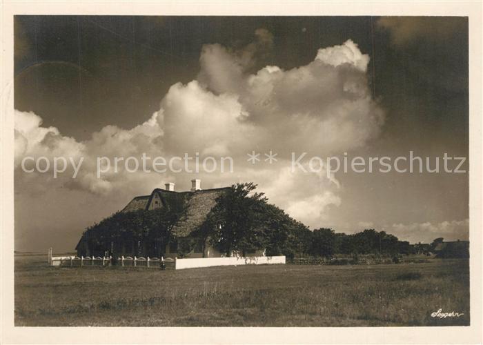 Insel Sylt Friesisches Gehoeft