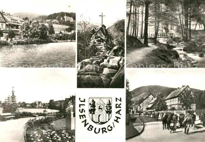 Ilsenburg Harz Fluss Park Kuehe