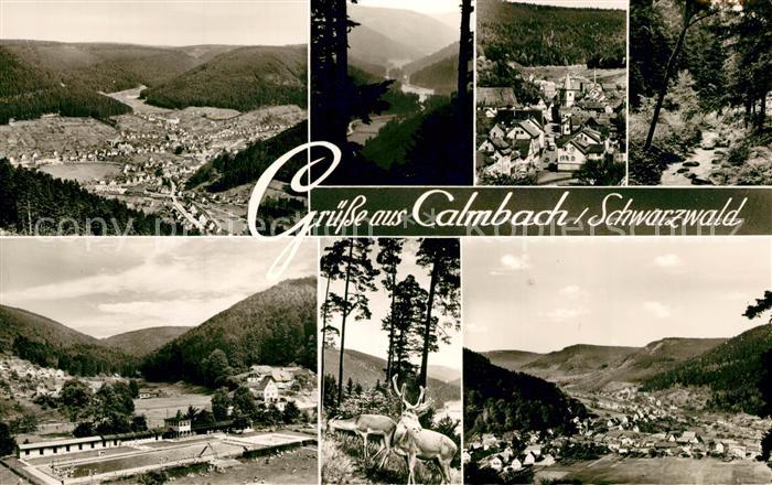 Calmbach Enz Fliegeraufnahme Schwimmbad