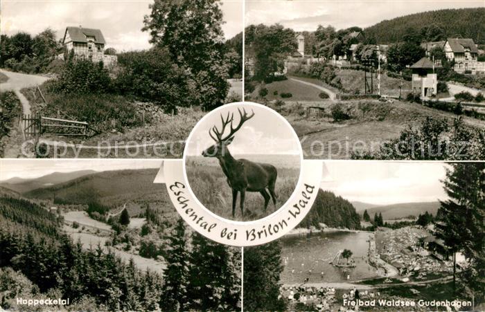 Eschental Brilon Gasthof-Pension Waldfrieden