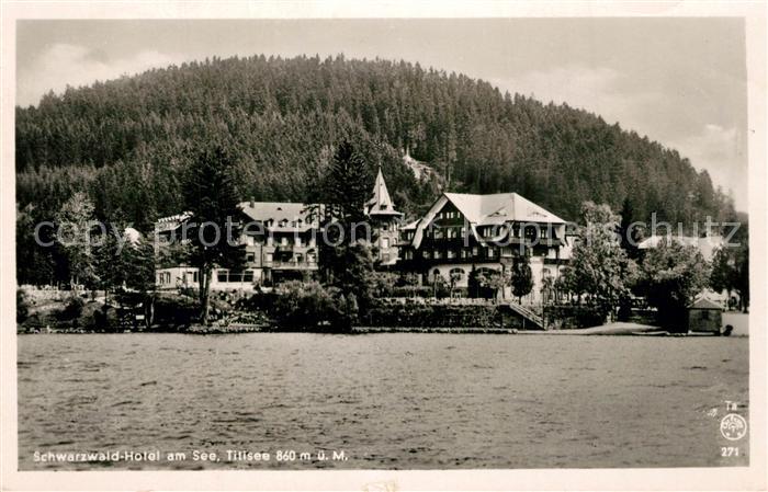 Titisee Schwarzwald-Hotel