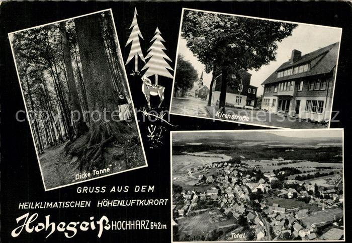 Hohegeiss Harz Kirchstrasse Dicke Tanne