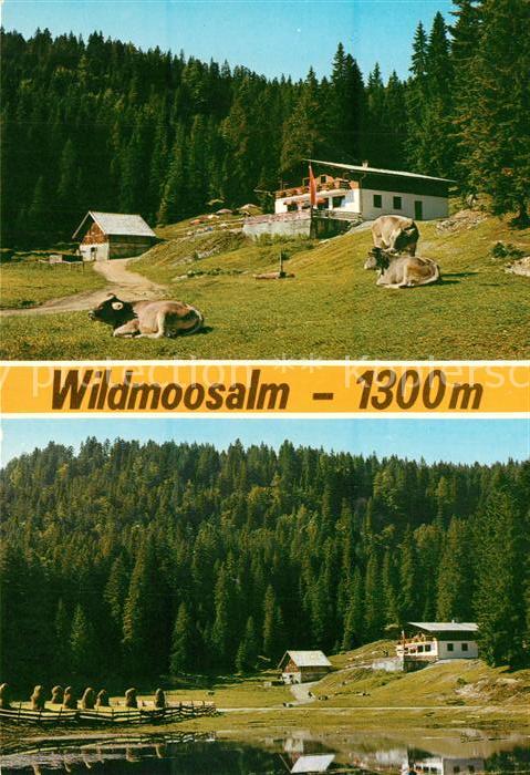 Wildmoos Wildmoosalm