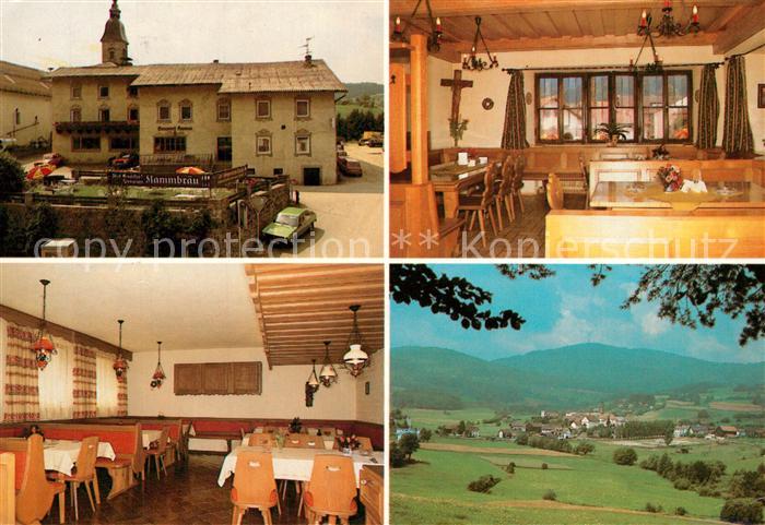 Zenting Gasthof Pension Brauerei Kamm Gastraeume Panorama