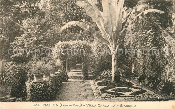 Cadenabbia Lago di Como Villa Carlotta Giardino