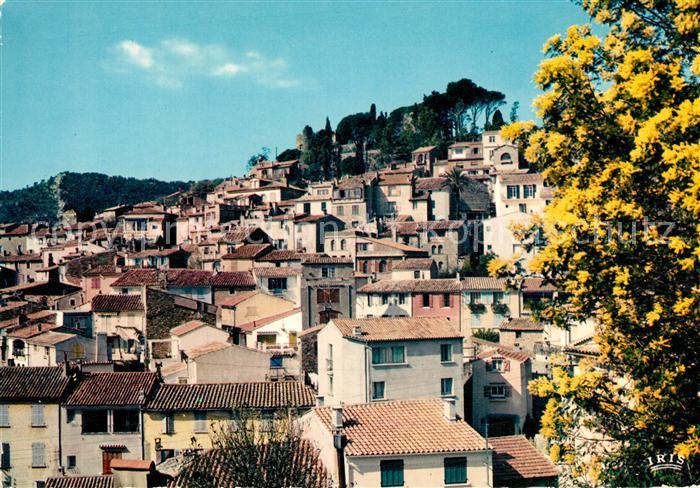 Bormes-les-Mimosas Panorama