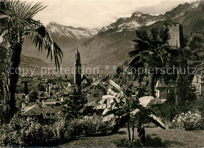 Merano Meran Panorama