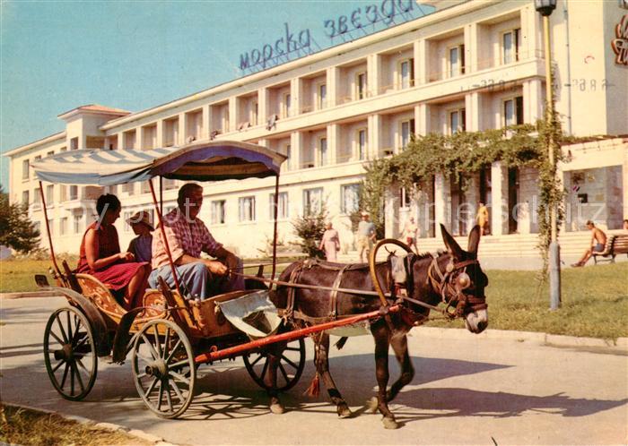 Bapha Hotel Morska Svesda