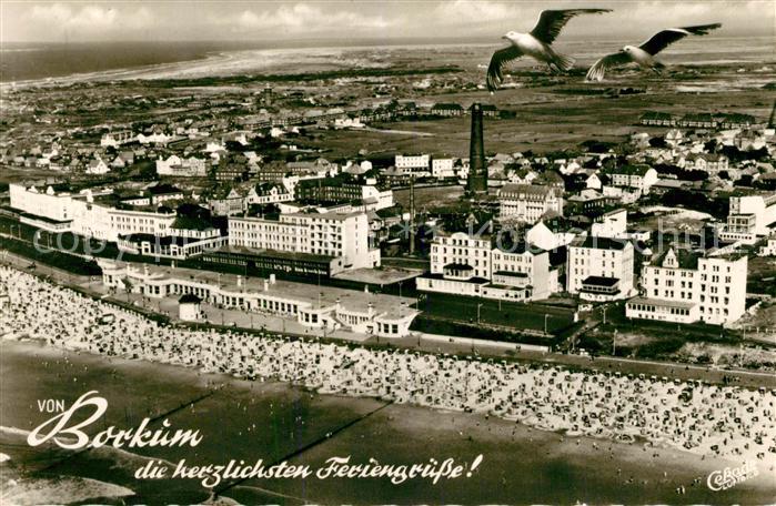 Borkum Fliegeraufnahme Moewen