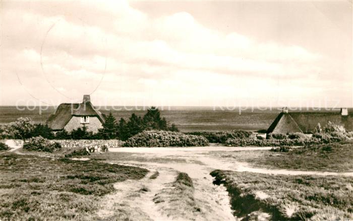 Insel Sylt Am Watt Friesenhaeuser
