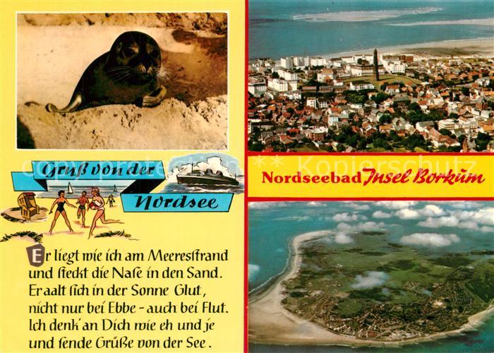 Borkum Seehund Nordseeinsel Fliegeraufnahme