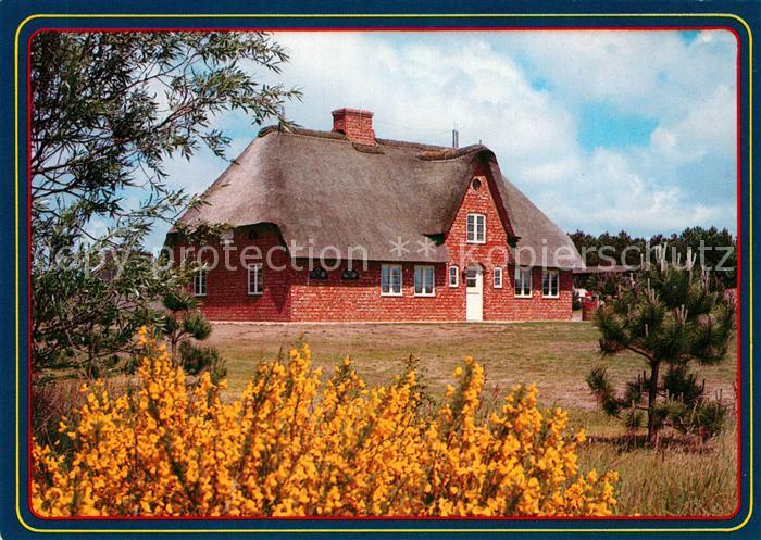 Nebel Amrum Friesenhaus