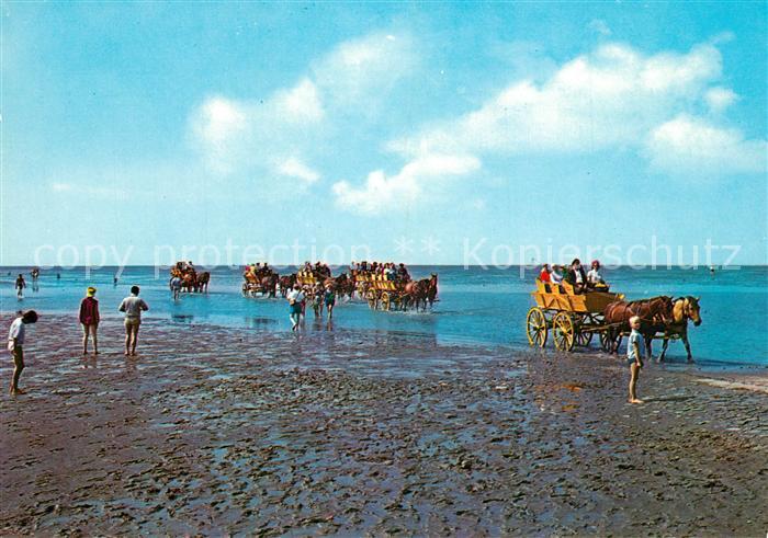 Neuwerk Cuxhaven Nordseebad Wattenfahrt zur Insel Neuwerk