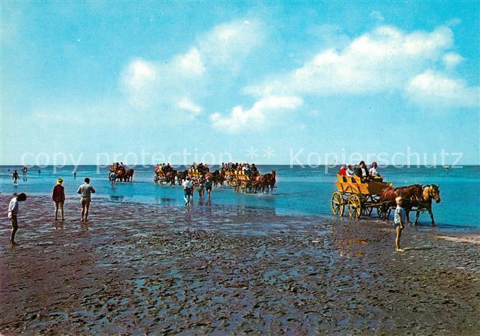 Neuwerk Cuxhaven Nordseebad Wattenfahrt zur Insel Neuwerk