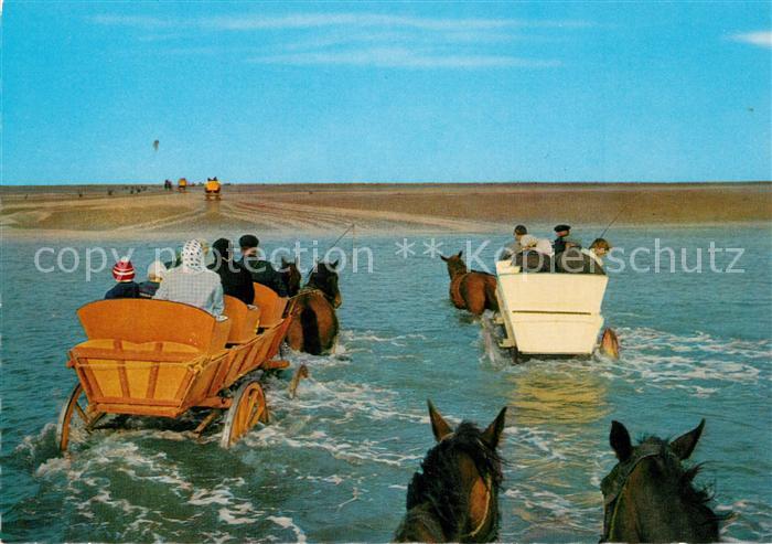 Insel Neuwerk Wattwagen im Priel auf der Fahrt auf die Insel