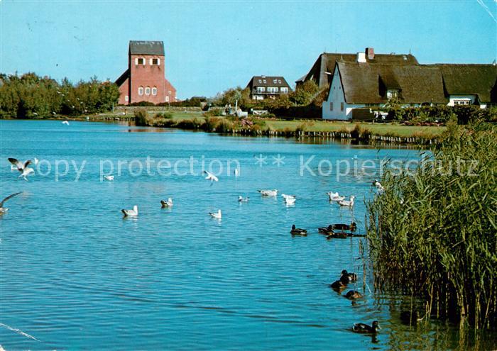 Wenningstedt Sylt Dorfteich mit Kirche Wasservoegel