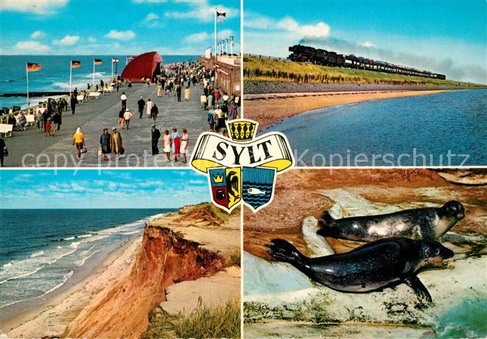 Insel Sylt Kurpromenade Hindenburgdamm Dampflokomotive Rotes Kliff Seehunde Wapp
