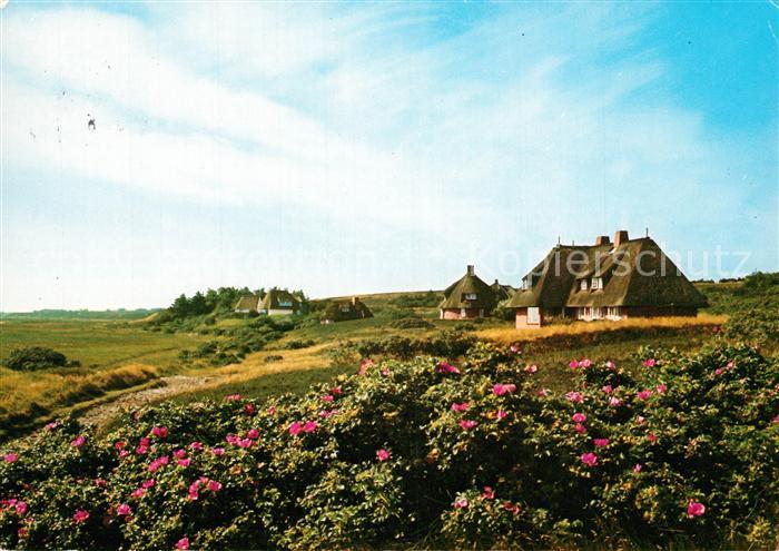 Kampen Sylt Friesenhaeuser am Wattenmeer