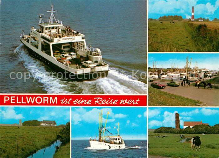 Pellworm Faehre Weiden Leuchtturm Hafen Landschaftspanorama Fischkutter Kuehe Al