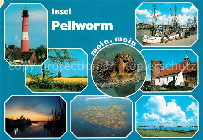 Pellworm Leuchtturm Rapsfelder Seehund Hafen Fischkutter Landschaftspanorama Win