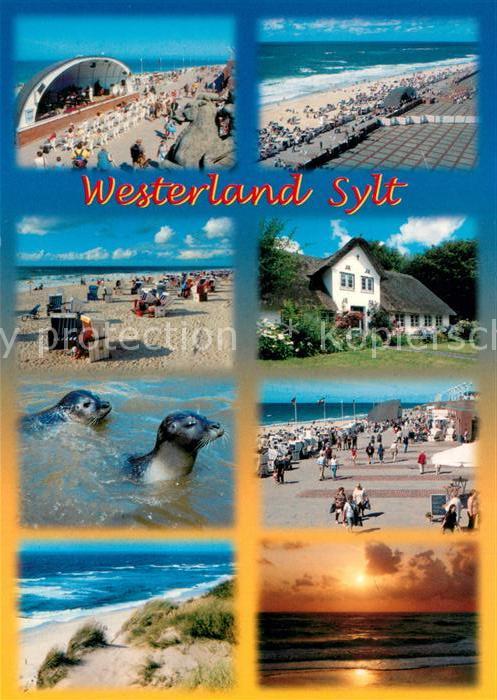Westerland Sylt Konzertpavillon Promenade Strand Friesenhaus Seehunde Duenen Son