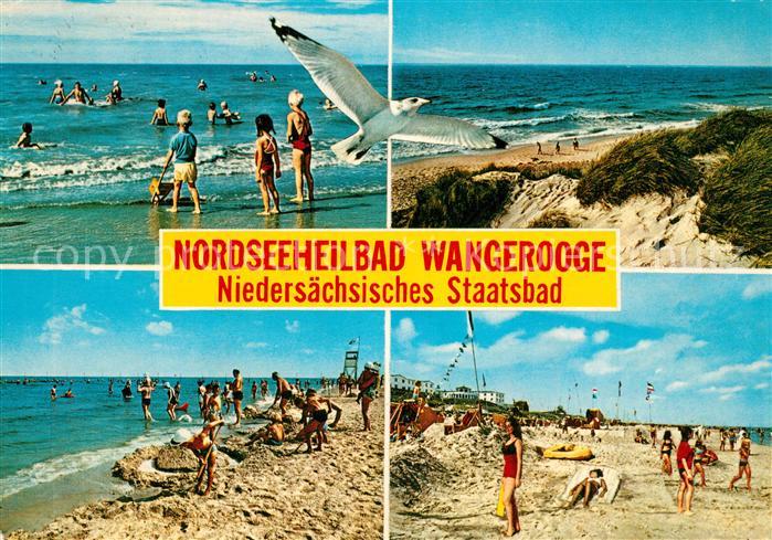 Wangerooge Nordseebad Strand Duenen Moewe