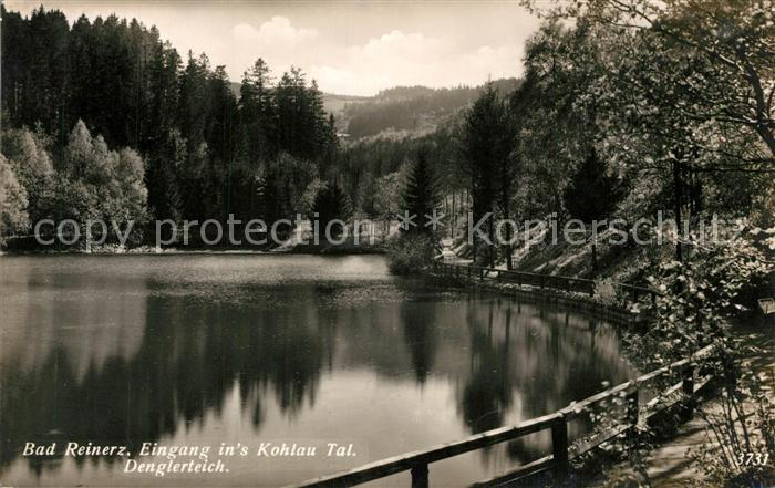 Bad Reinerz Niederschlesien Denglerteich Kohlau-Tal