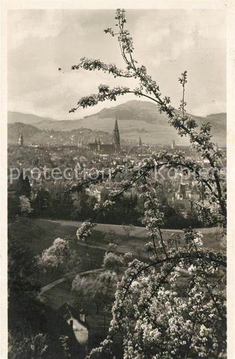 Freiburg Breisgau Stadtansicht