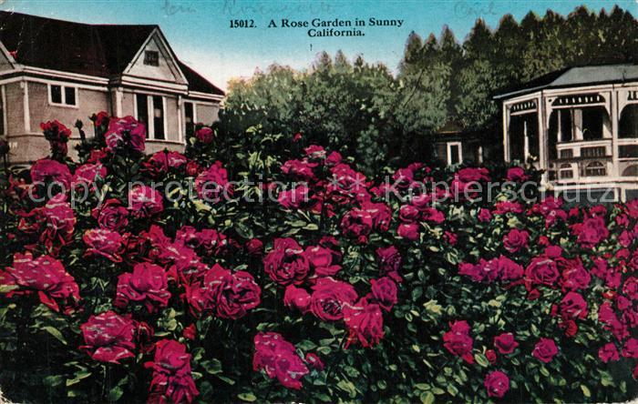 San Diego California A Rose Garden