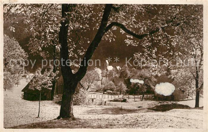 Mittlach Vallee de Munster en automne