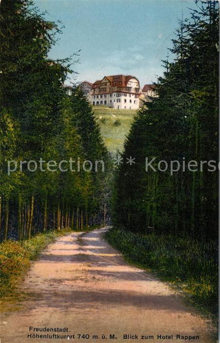 Freudenstadt Waldweg Blick zum Hotel Rappen