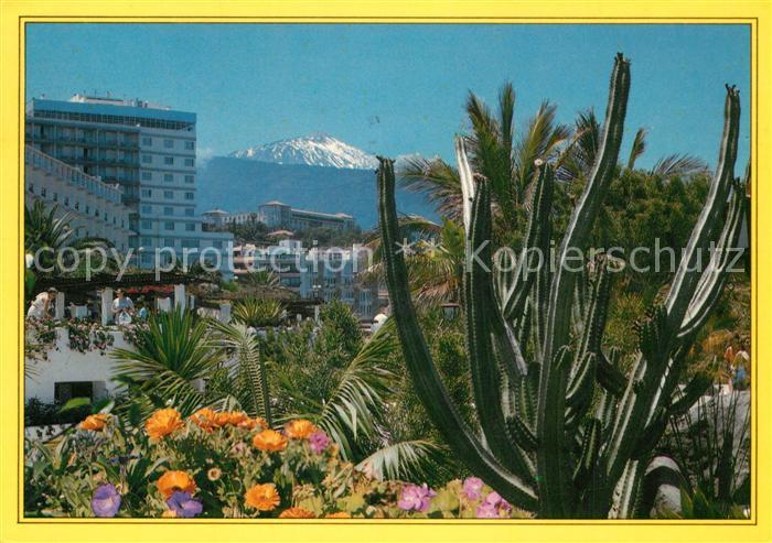 Puerto de la Cruz Kakteen Blick zum Vulkan Teide