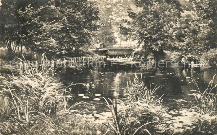 Saint-More Etang Parc Le Perthuis Salons de Paris