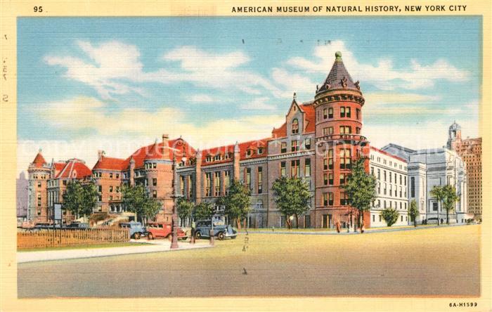 New York City American Museum of Natural History Illustration