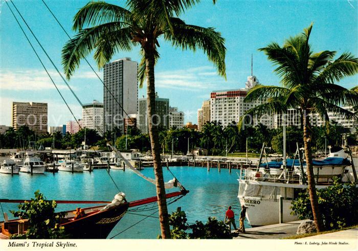 Miami Florida Tropical Skyline Harbour
