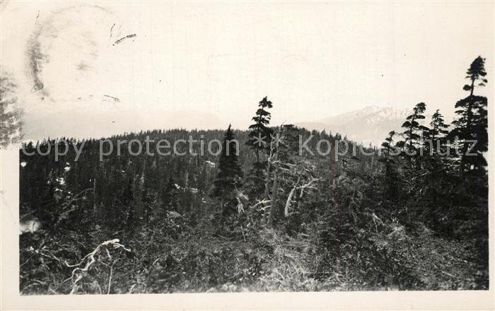 Wrangell Alaska Panorama