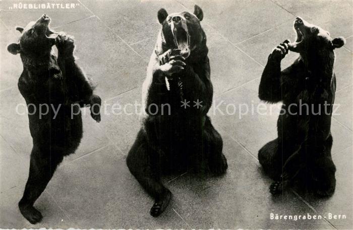 Baeren Baerengraben Bern