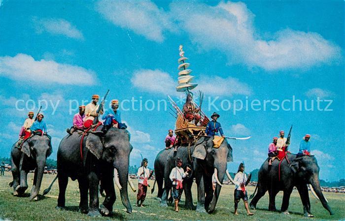 Elefant Ancient Battle Elephants Surin Thailand