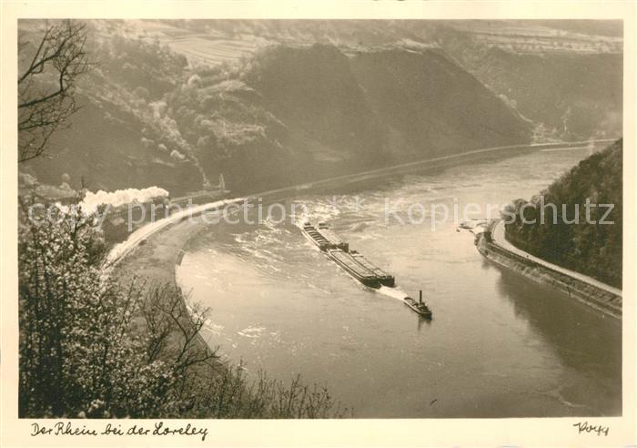 Foto Popp Nr. Rhein Loreley