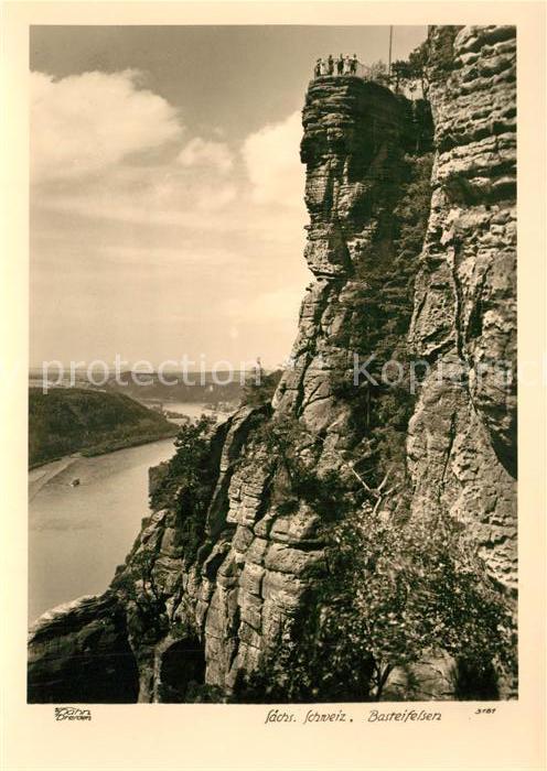 Foto Hahn Nr. 3181 Basteifelsen Sächsische Schweiz