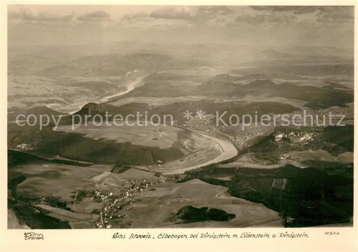 Foto Hahn Nr. 10564 Elbebogen Königstein Lilienstein