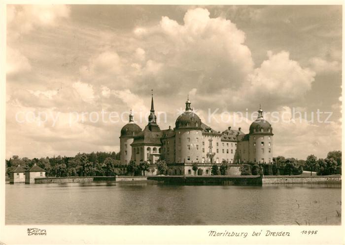 Foto Hahn Nr. 10995 Moritzburg Dresden
