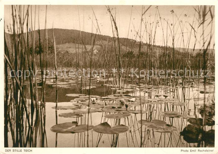 Foto Rechsteiner Emil Der stille Teich
