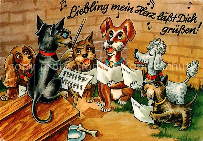Vermenschlicht Hunde Gesang Dirigent Knochen